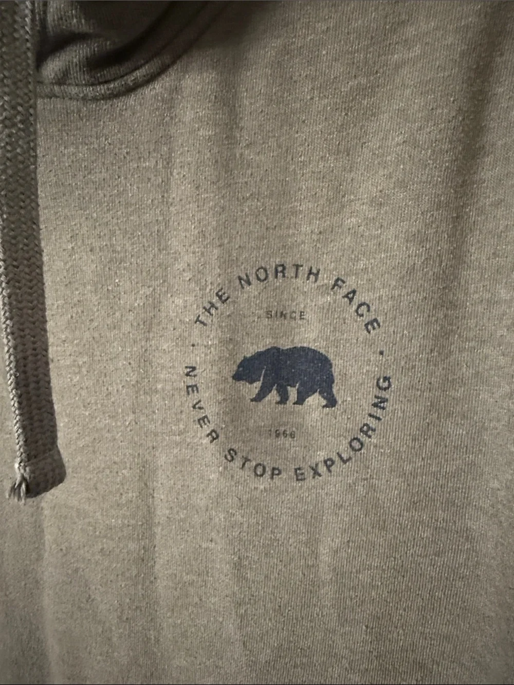 The North Face Bearscape Hoodie Hooded Sweatshirt